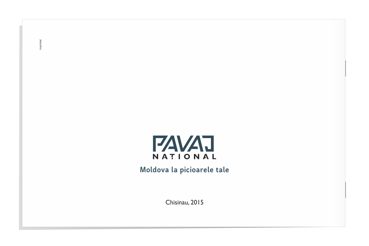 https://imprint.md/img/client/Pavaj/book/pavaj_national_logo_gudelines_site_preview_9.png