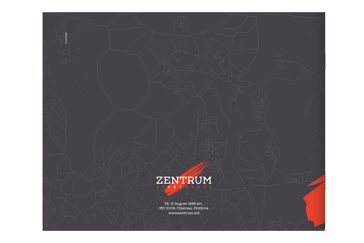 https://imprint.md/img/client/zentrum/brand_book/zentrum_brand_guidelines_coperta_2.png