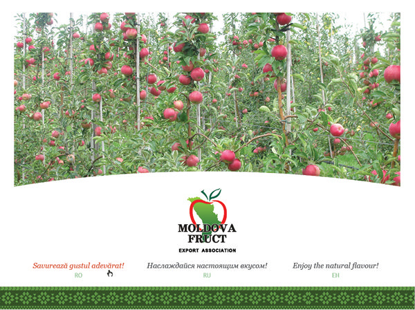 https://imprint.md/img/lucrari/Moldova_Fruct/moldovafruct_site/Site_MoldovaFruct_oct2010_1.jpg