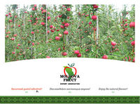 https://imprint.md/img/lucrari/Moldova_Fruct/moldovafruct_site/Site_MoldovaFruct_oct2010_1.jpg