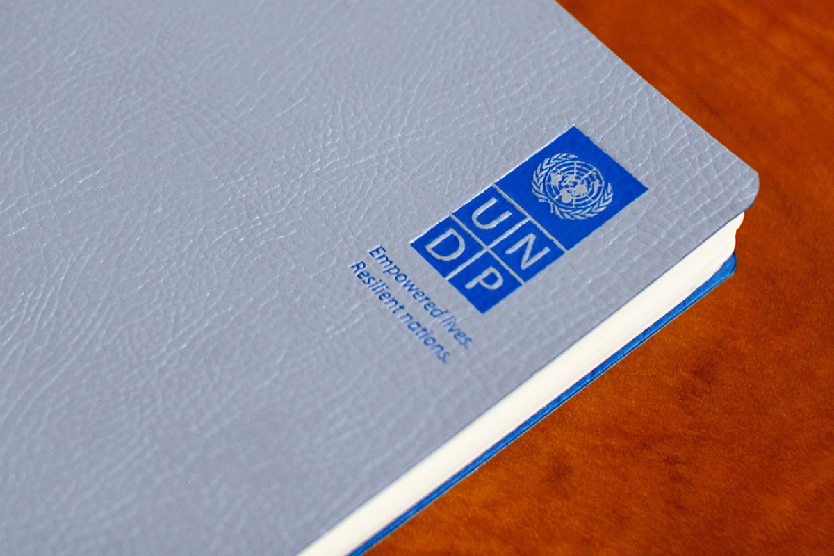 https://imprint.md/img/lucrari/UNDP/Agenda_UNDP_11-2012/agenda_undp_1.jpg