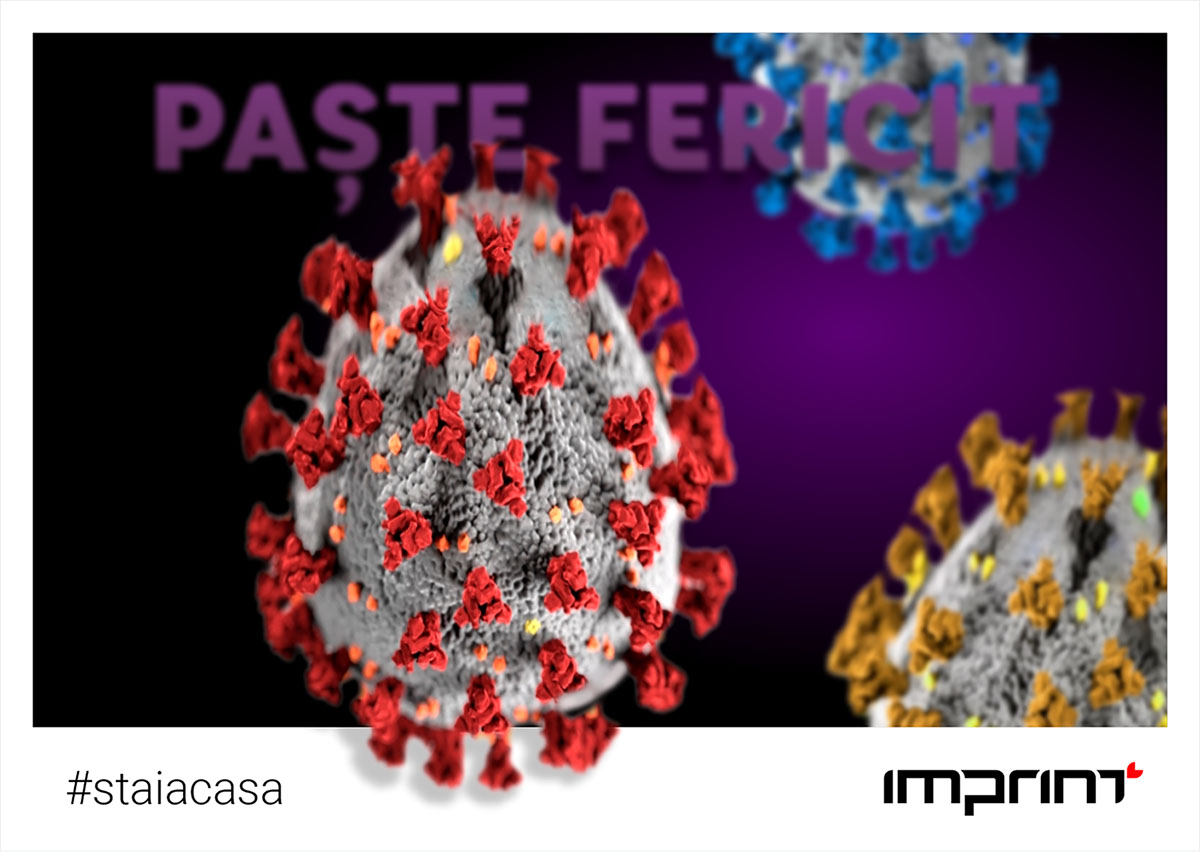 paste fericit 20
